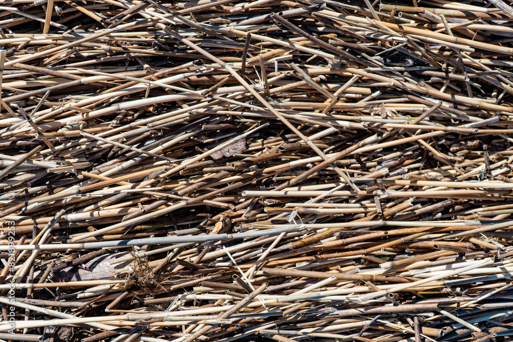 High-resolution close-up of straw hay, showcasing its natural texture and intricate details. Ideal for creating unique backgrounds and patterns for various design projects High-resolution close-up of straw hay, showcasing its natural texture and intricate details. Ideal for creating unique backgrounds and patterns for various design projects