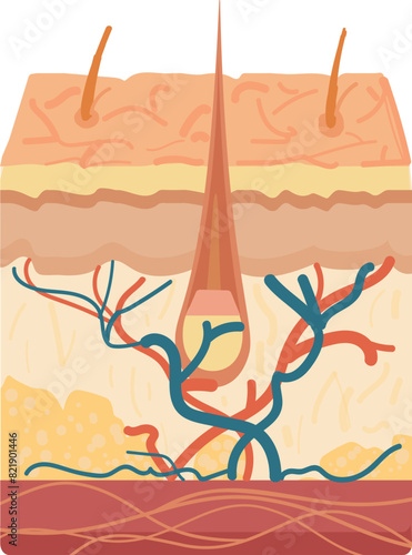 Educational illustration showing various soil layers and plant root system