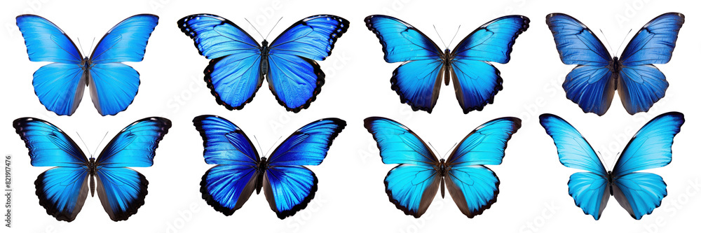 Obraz premium Blue butterflies png on transparent background