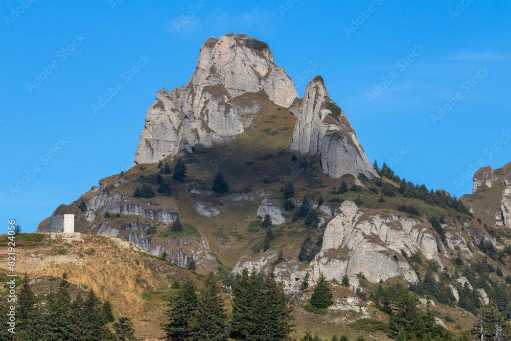 Fototapeta premium Vibrant and beautiful landscape featuring a rocky cliff adorned with wildflowers and green grass