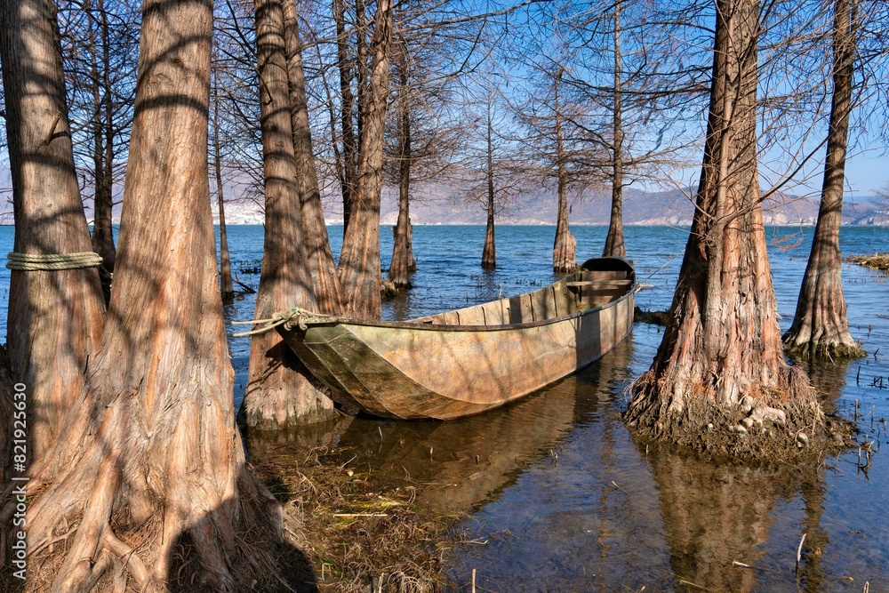 Wooden boat with the surrounding trees partially submerged in the rising water level.