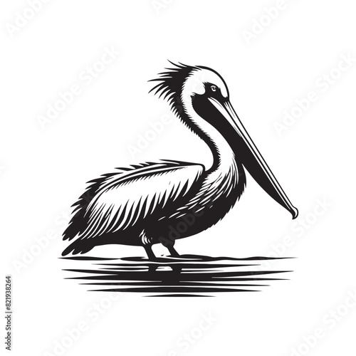 Pelican Silhouettes: The Majestic Presence and Graceful Flight of These Iconic Coastal Bird - Pelican Vector - Pelican Illustration- Shore Bird Silhouette.