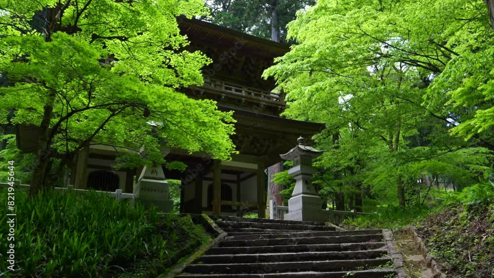 Walking toward Japanese temple gate in beautiful lush forest Walking toward Japanese temple gate in beautiful lush forest