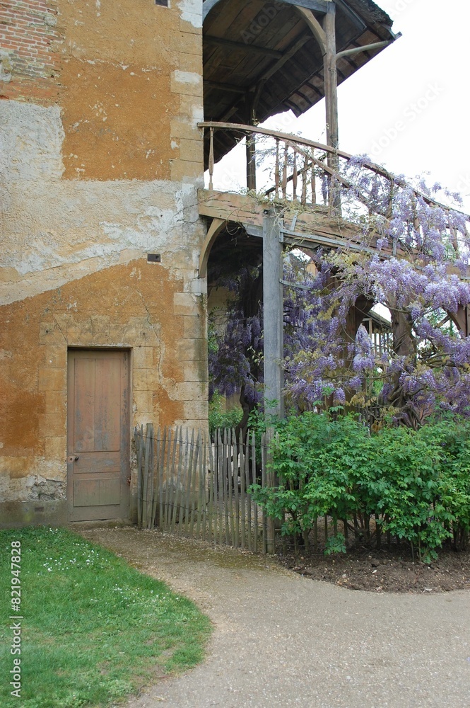 Obraz premium Old building with a unique exterior with a vibrant display of fragrant lilac branches