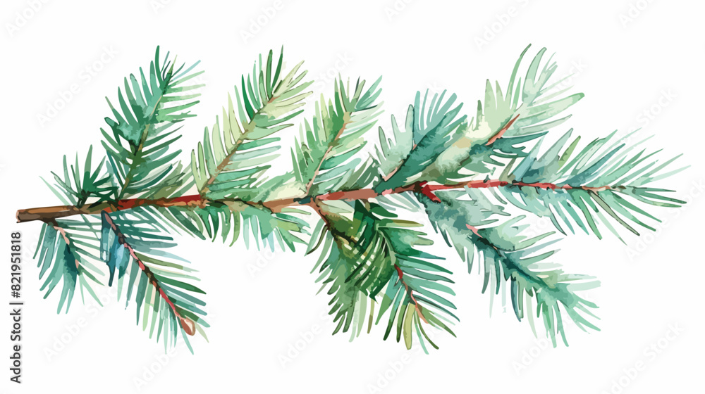 Spruce branch watercolor fir branch Christmas tree 