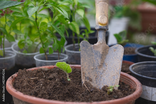 tools in garden, A rusty metal shovel in a brown flower pot in the garden.