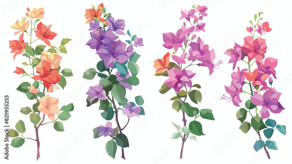 Bougainvillea is a colorful part of the plant. theref
