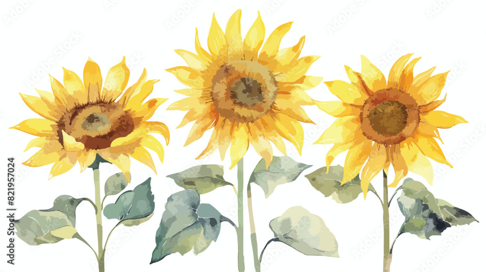 Sunflower watercolor digital illustration floral deco