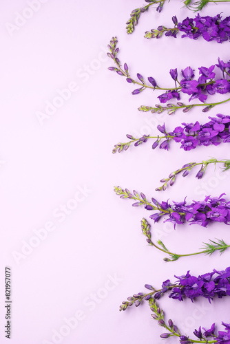 Fresh delphinium blooms on a pink background.Top view. Flat lay with copy space.