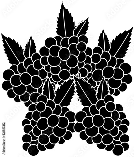 plant illustration leaf silhouette grape logo nature icon food outline tree blackberry summer fruit harvest grapes vine branch garden shape wine green sweet for vector graphic background