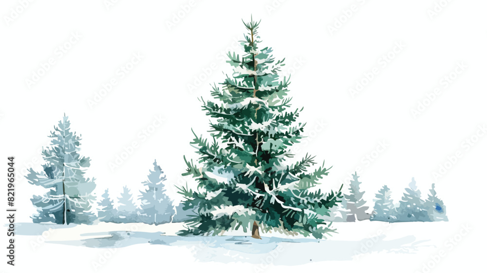 Christmas watercolor painting fir tree cedar conifer.