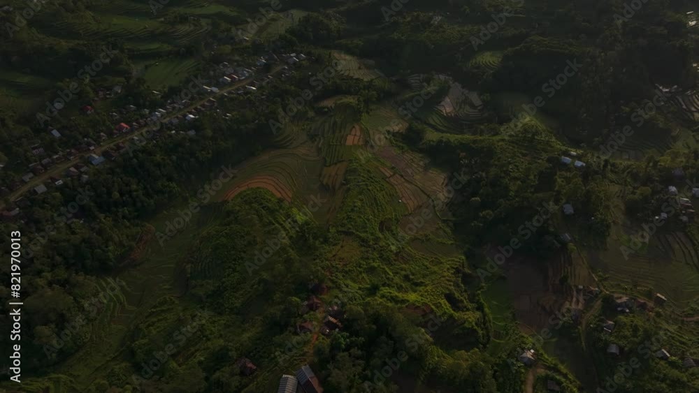 Aerial view of rice fields at sunrise with palm trees and village, Ruteng, Flores, Indonesia. Aerial view of rice fields at sunrise with palm trees and village, Ruteng, Flores, Indonesia.