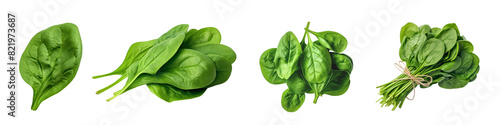 Spinach png element set on transparent background