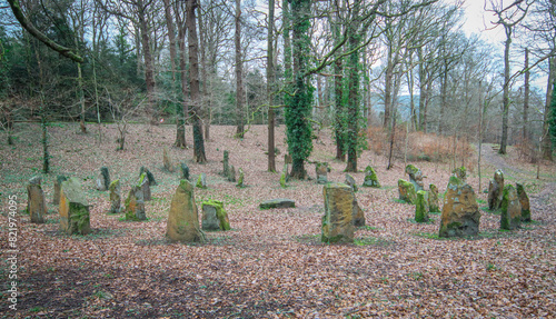 Standing stones Duffryn woods, Mountain Ash, South Wales. photo