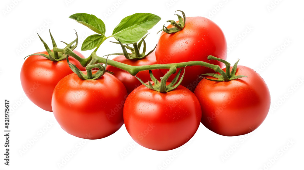 Fresh Delicious Tomatoes Isolated on Transparent Background, PNG, Cut Out. Fresh Delicious Tomatoes Isolated on Transparent Background, PNG, Cut Out.