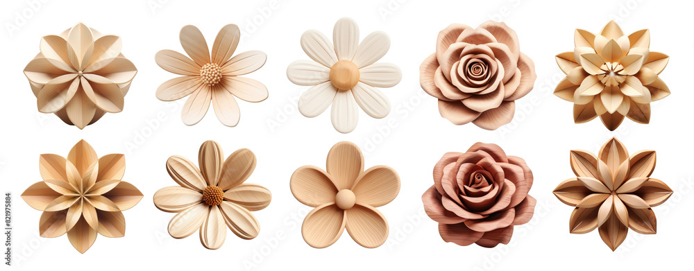 3D flower shape wood paper plant png element set on transparent background 3D flower shape wood paper plant png element set on transparent background