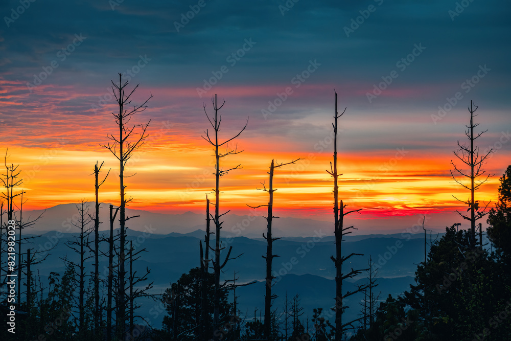 Sunrise seen from Nevado de Colima National Park in Mexico Sunrise seen from Nevado de Colima National Park in Mexico