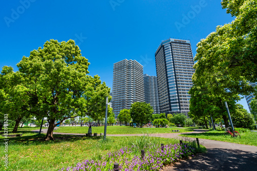 新緑の「高島中央公園」の風景（2024年5月）
