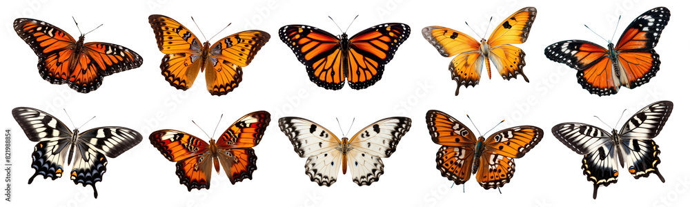 Fototapeta premium Butterflies png element set on transparent background