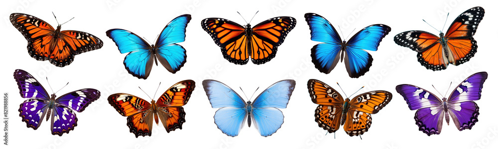 Obraz premium Butterflies png element set on transparent background