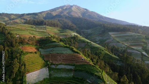 Agriculture fields and Mount Sumbing in background, aerial view photo