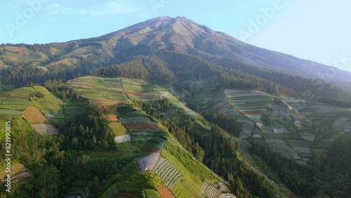 Beautiful fields, forest and mount Sumbing in Indonesia, aerial drone view photo
