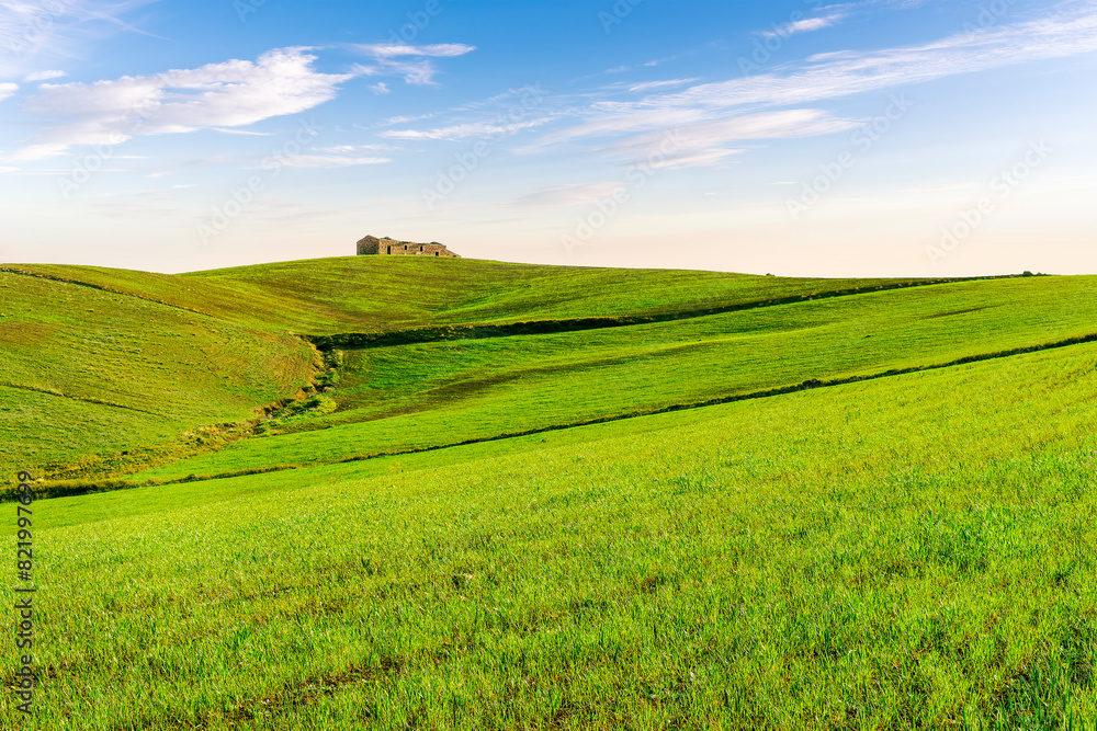 Fototapeta premium spring or summer nature farm landscape with green salad grassland hills and beautiful cloudy ske on baclground. Farming landscape in spring or summer field