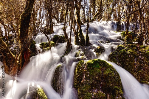 Scenic view of a waterfall flowing over rocks in a forest