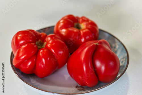 organic tomatoes on a plate, tomatoes grown in a mini organic farm.