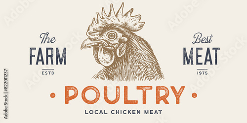 Rooster, chicken, hen head. Vintage retro print, rooster sketch ink pencil style drawing, engrave old school. Sketch artwork silhouette head rooster chicken. Side view profile. Vector Illustration