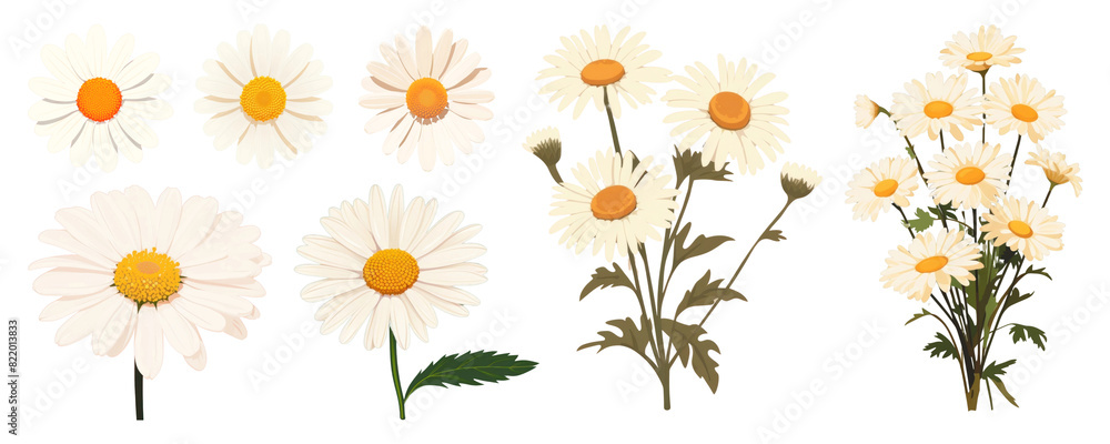 Flower png element set on transparent background Flower png element set on transparent background