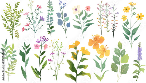 Set watercolor wildflowers. flower watercolor style for printing, weddings, decorating, flower shops, greeting, spring, bouquet, pattern, decoration and textile.	
