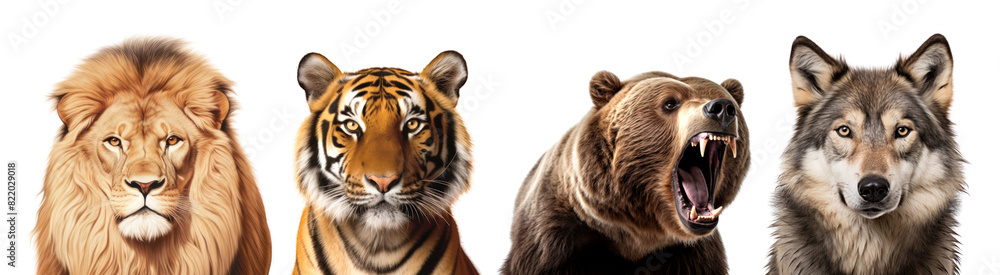 Obraz premium Animal wildlife head png element set on transparent background