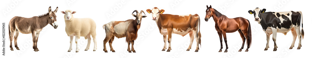 Animal farm isolated png element set on transparent background Animal farm isolated png element set on transparent background