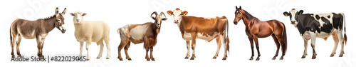 Animal farm isolated png element set on transparent background