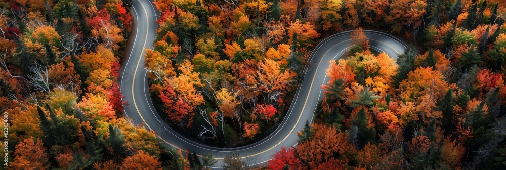A winding road cuts through a vibrant forest of colorful autumn trees