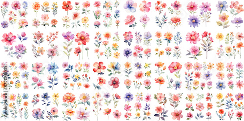 A Big watercolor floral package collection. Use by fabric, fashion, wedding invitation, template, poster, romance, greeting, spring, bouquet, pattern, decoration and textile. 