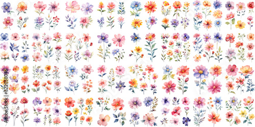A Big watercolor floral package collection. Use by fabric, fashion, wedding invitation, template, poster, romance, greeting, spring, bouquet, pattern, decoration and textile.