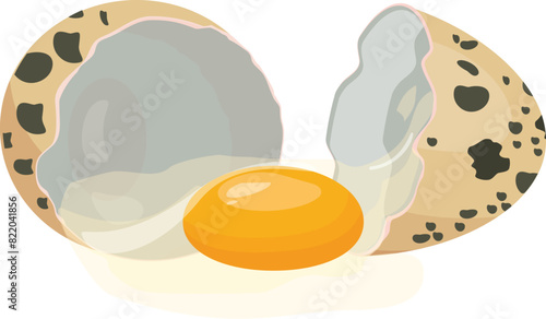 Delicate and fragile cracked quail egg illustration with high resolution vector clipart on clean white background for gourmet culinary kitchen recipes and healthy organic cooking ingredients