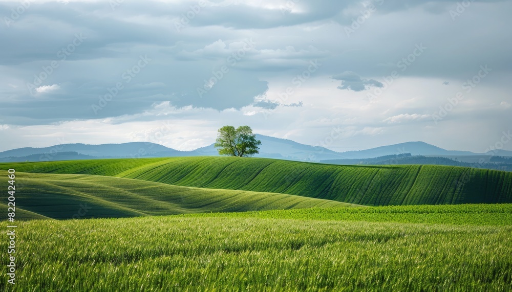 Mountain Landscape with Sky: A serene scene of misty mountains, green hills, and a vibrant sky at sunrise, showcasing the beauty of nature Mountain Landscape with Sky: A serene scene of misty mountains, green hills, and a vibrant sky at sunrise, showcasing the beauty of nature