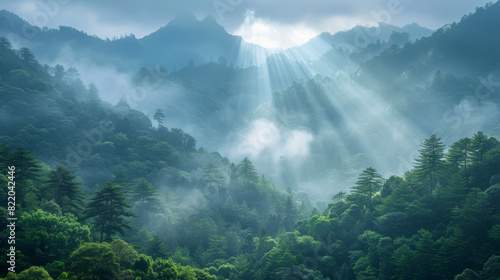 An inspirational shot of a mountain peak shrouded in fog with sunlight breaking through, viewed from a dense forest, representing overcoming business challenges © Yotsaran