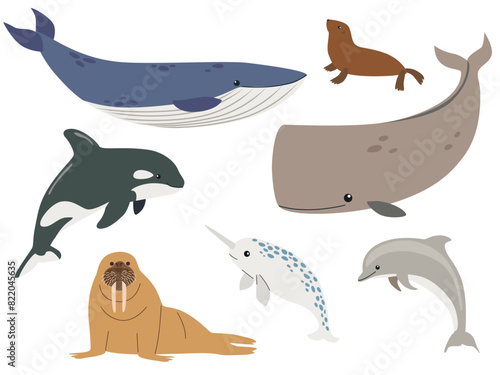 Set with hand drawn sea life mammals. Vector cartoon set of sea animals objects for your design. Cartoon hand drawn style.