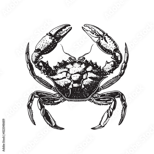  Black and white crab vintage ink drawing vector illustration for t-shirt design