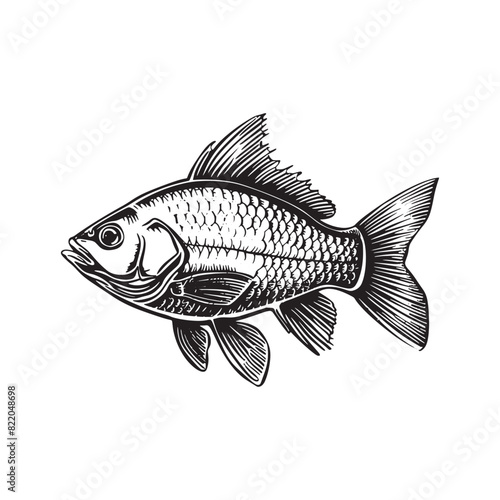 black and white hand drawn illustration of fish isolated on white.