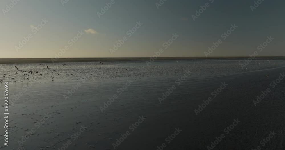 Aerial view of Flamingo Lagoon with Pink Flamingos at sunset, Erongo, Namibia. Aerial view of Flamingo Lagoon with Pink Flamingos at sunset, Erongo, Namibia.