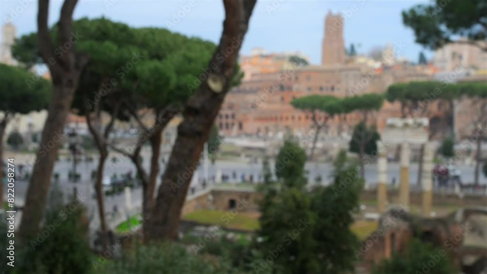 Large gray seagull in Rome, Italy Large gray seagull in Rome, Italy