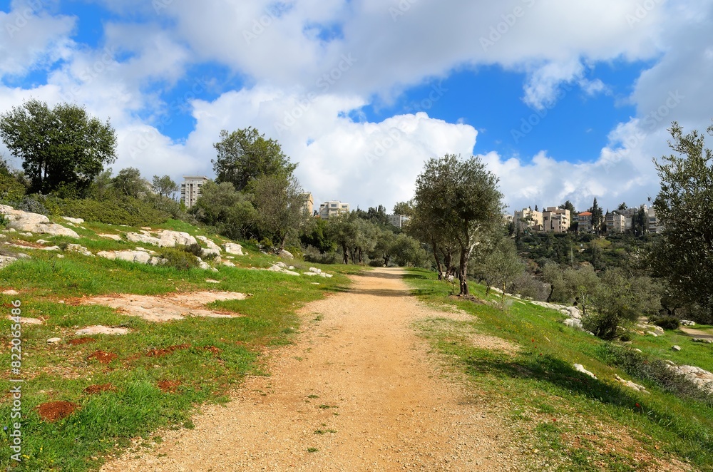 Beautiful Rehavia Park in Jerusalem, Valley of the Cross, lush with trees Beautiful Rehavia Park in Jerusalem, Valley of the Cross, lush with trees