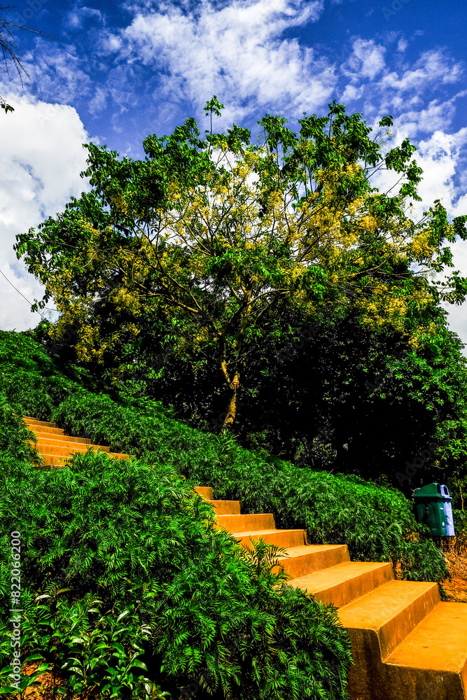 Naklejka premium Staircase leading to park by Umiam Lake, Meghalaya, India