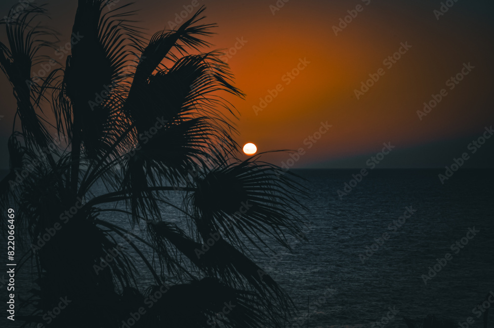 Obraz premium Palm tree halo against sunset on the Red Sea horizon.