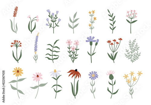 Minimalistic wild flowers and leaves collection. Hand drawn vector illustration set